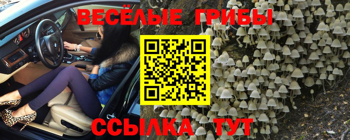 Галлюциногенные грибы Psilocybe  Вход с VPN  Галлюциногенные грибы Psilocybe  Дивногорск 