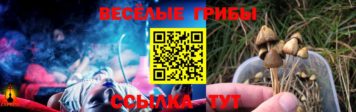 Галлюциногенные грибы GOLDEN TEACHER Дивногорск